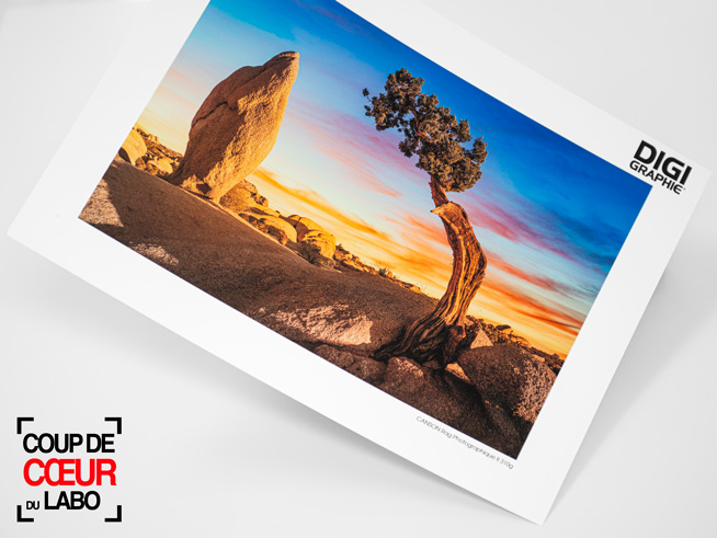 CANSON Rag Photographique II 310g