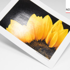 HAHNEMÜHLE Fine Art Baryta 325g