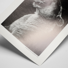 HAHNEMÜHLE RAG Baryta 315g