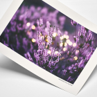 HAHNEMÜHLE RAG 308g