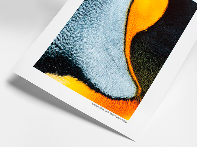 HAHNEMÜHLE RAG Matt Baryta 308g