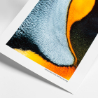 HAHNEMÜHLE RAG Matt Baryta 308g