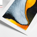 HAHNEMÜHLE RAG Matt Baryta 308g