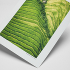 HAHNEMÜHLE Torchon 285g