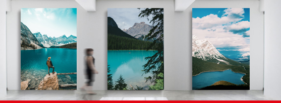 Impression Photo Alu Dibond Tirage Photo Sur Support En Alu